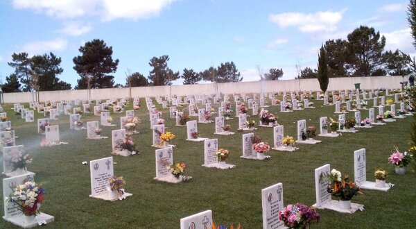 278858434_5161347997221621_8660911563291134746_n