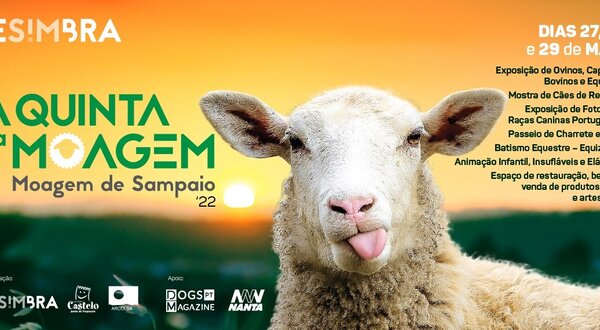 banner_moagem_1200x570