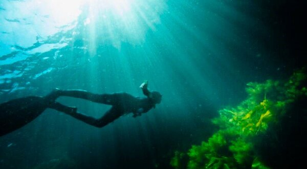 ocean_talks_gustavo_neves