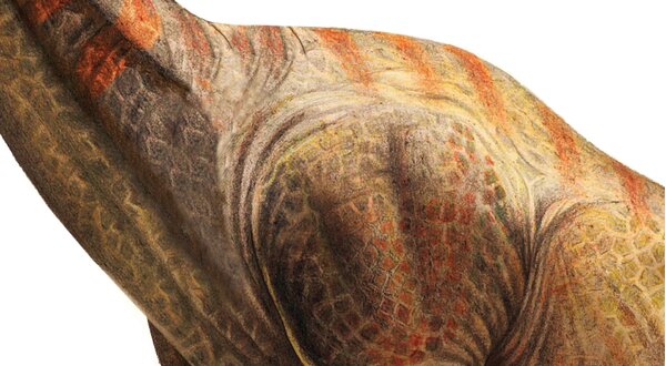 900x500_encontro_paleontologia_2022_textura_dino