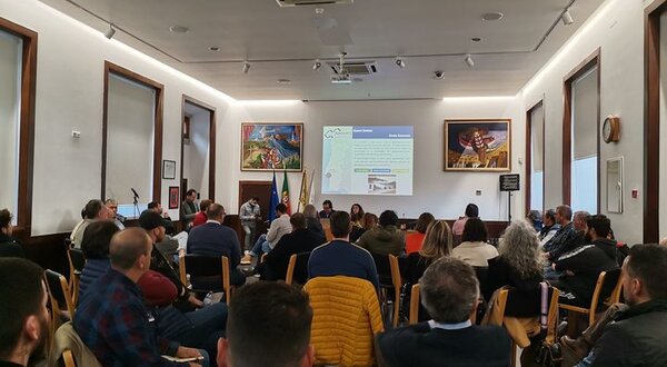 326130641_569990448329685_3268632024202742153_n