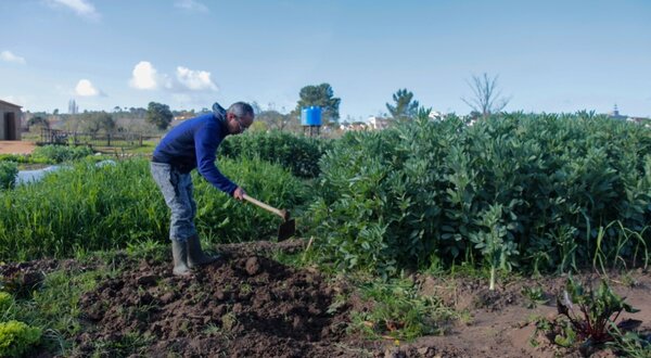 hortas_de_sampaio_noticia