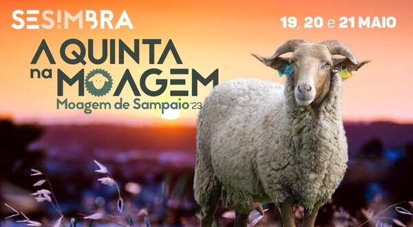banner_quintamoagem_900x500_sem_lettring