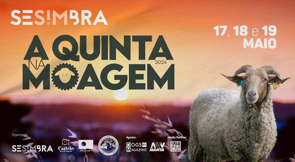 banner900x500_moagem24_1_900_600