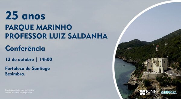 conferencia_luiz_saldanha