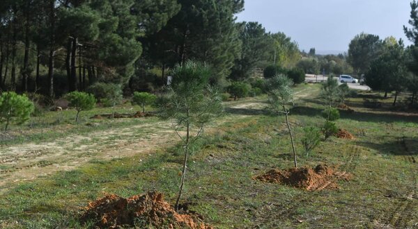 b34c487b_b740_4508_bced_fb1976b49e4b