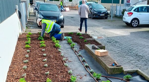 rua_da_paz_quinta_do_conde