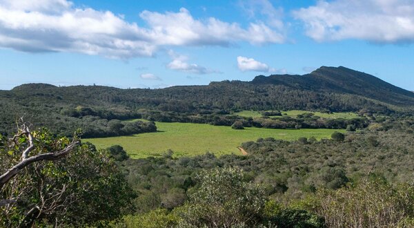 448227715_897838382387661_8175845470982477581_n