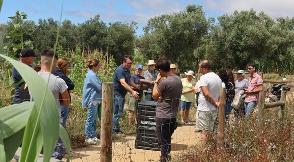 design_sem_nome__10_