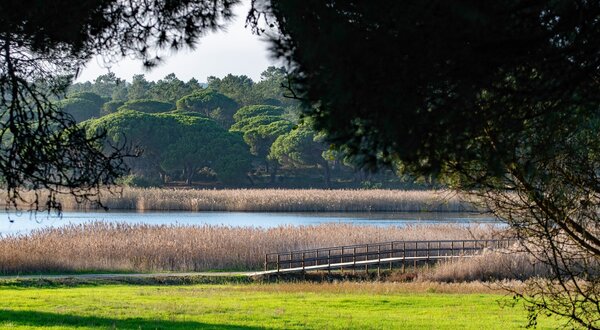 452019600_920998736738292_3590698713706734303_n