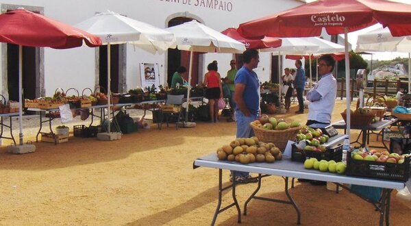 maca_camoesa_900___600_px__1_900_600