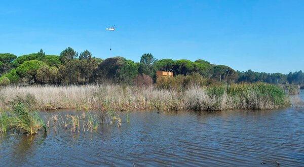 lagoa_pequena_apos_incendio_apostica