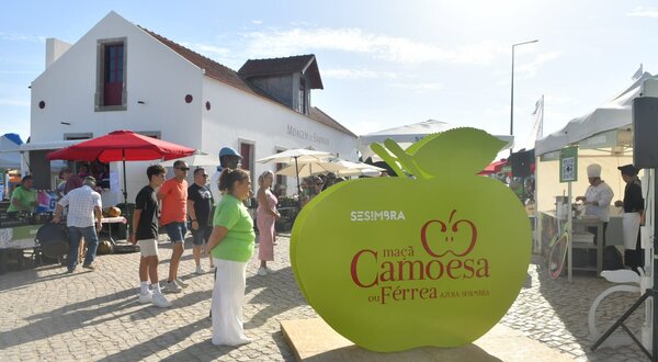 mostra_maca_2023__8_