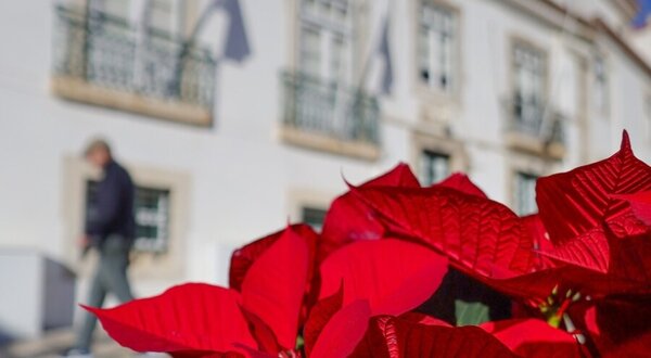 design_sem_nome__56_