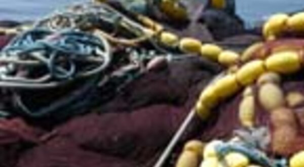 pescadoresportodeabrigo