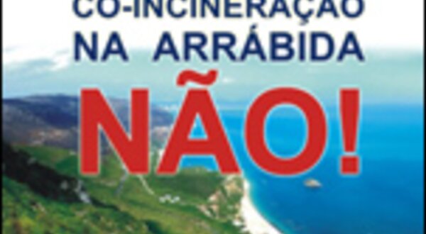coincineracao2