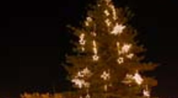 ilum_natal_jardim_sesimbra