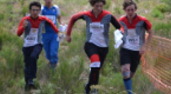 cnestafetas201111381