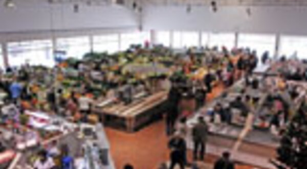 mercadomunicipaldaquintadoconde