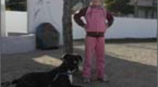 protecao_civil_caes253