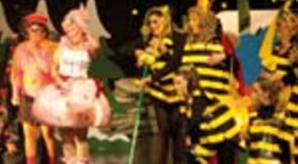 ctzservicossociaisnatal2012