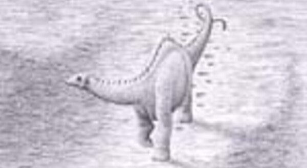 sauropodesavelinoilustmestevens