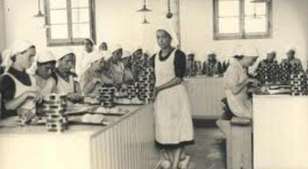 industriaconserveira