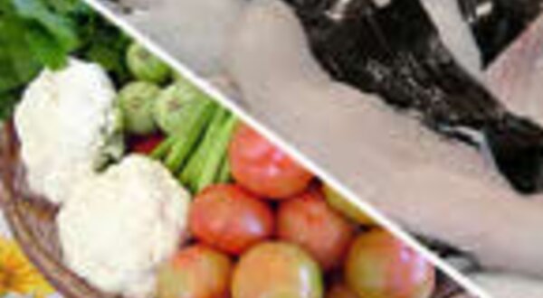 workshoporticulaespada