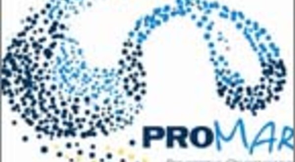 promarazulebrancocompo_site2