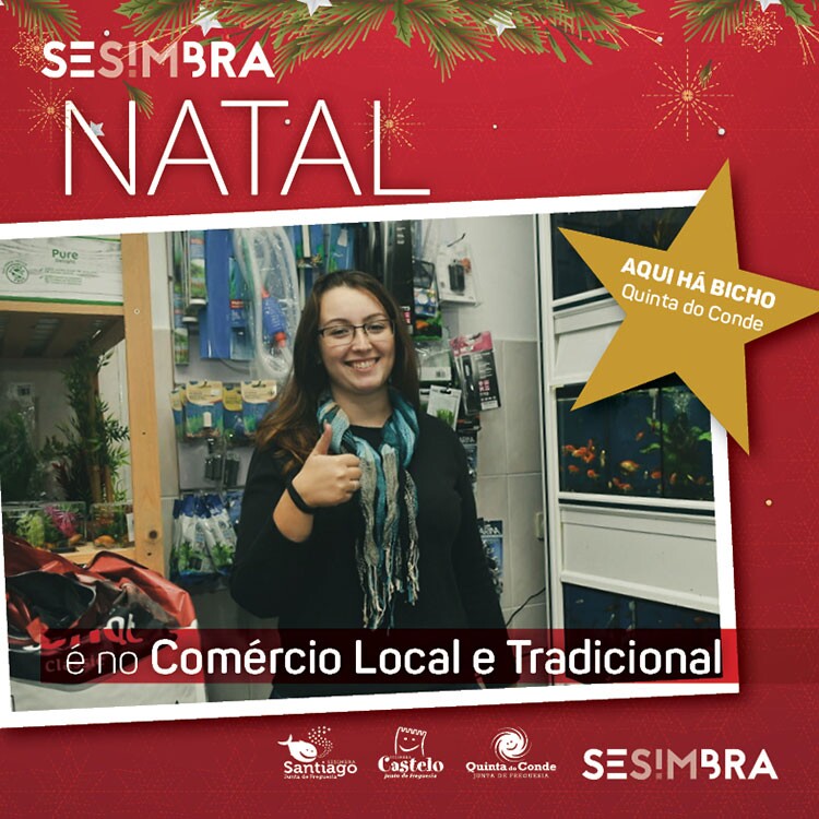 Aqui-Há-Bicho-Quinta-do-Conde