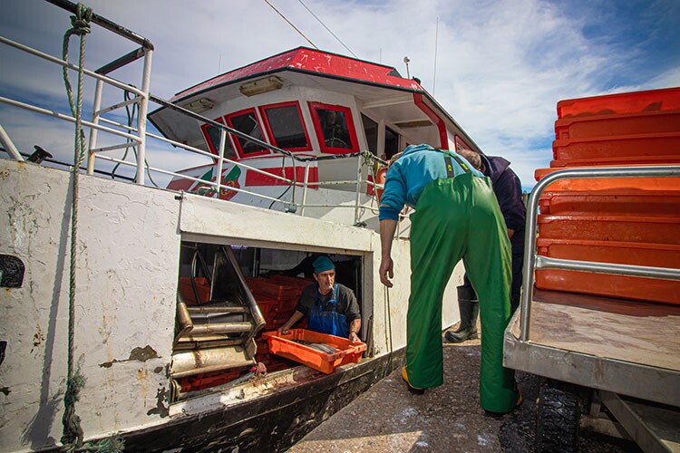 porto_abrigo_750x500