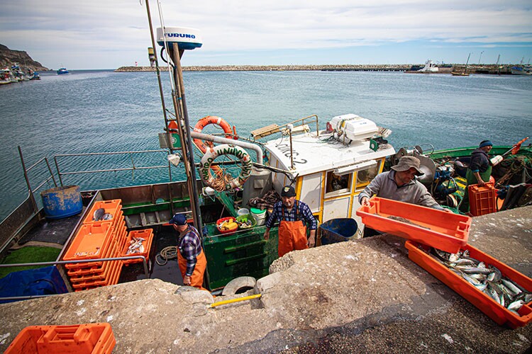 porto_de_abrigo_750x500