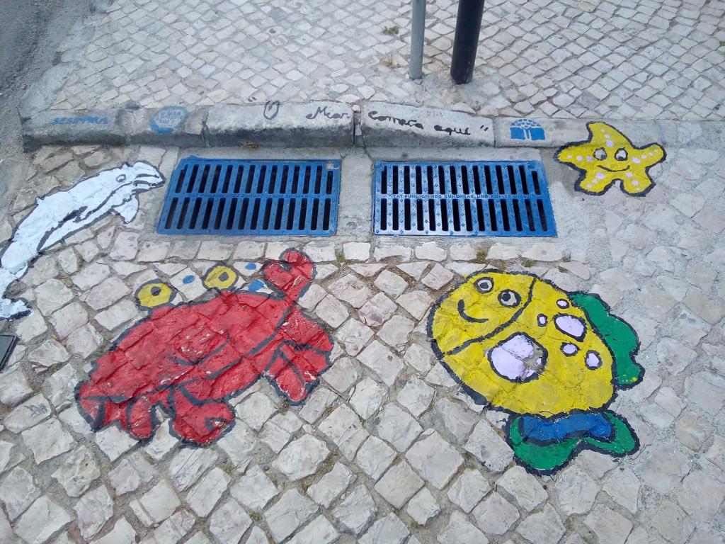 12_Sesimbra_Básica_2