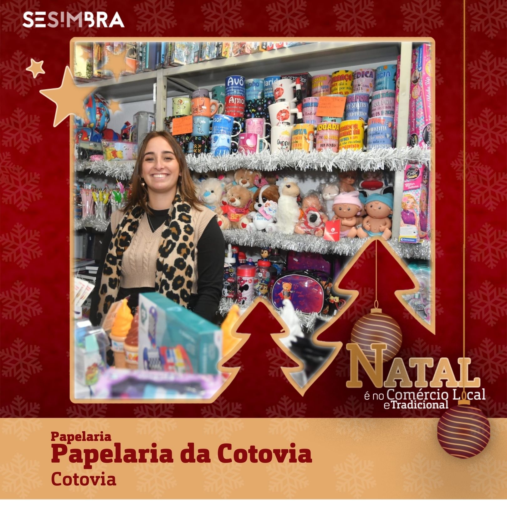 Papelaria da Cotovia