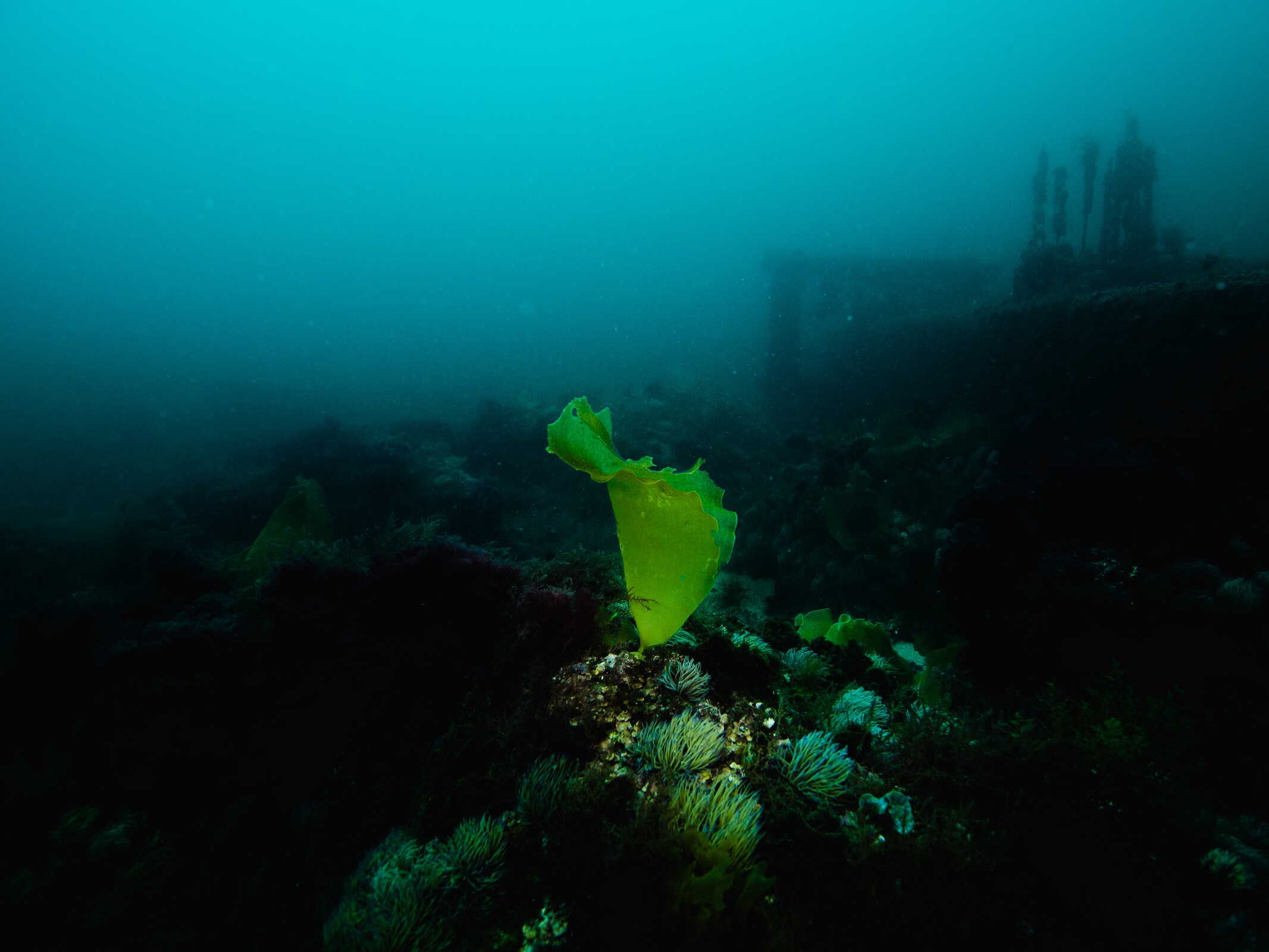 02. Programa Atlantis_2021 © Gustavo Neves