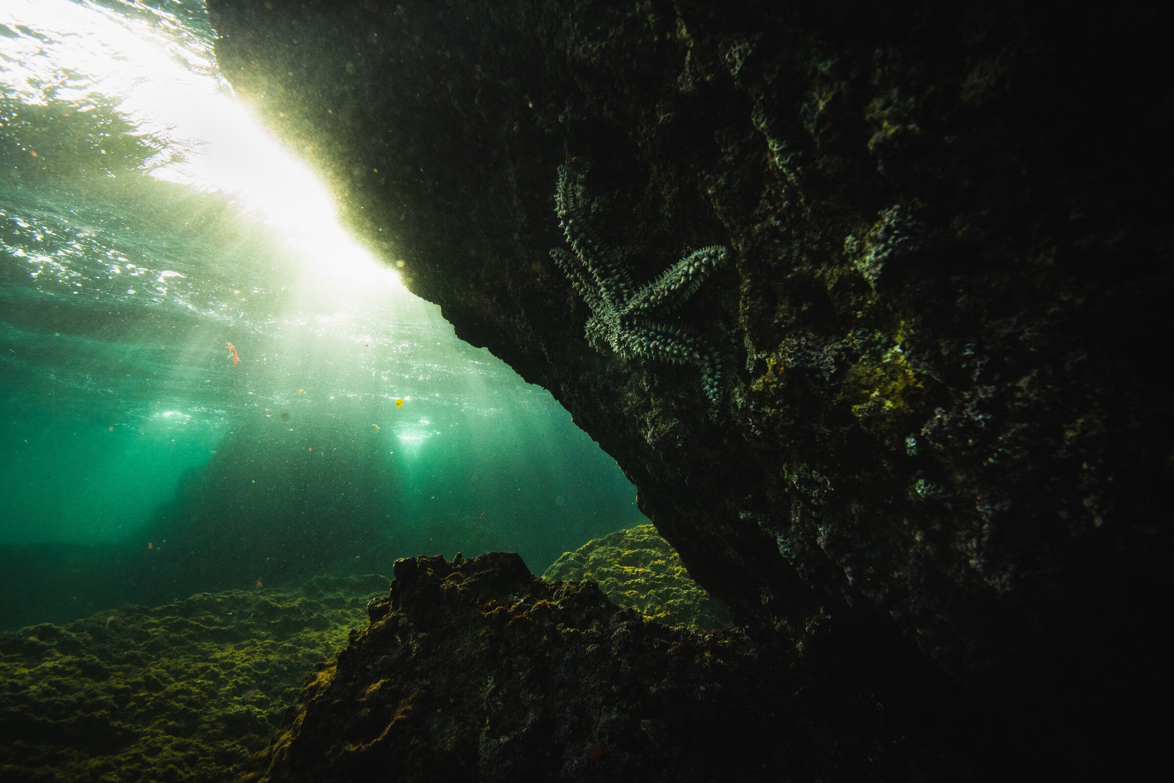 09. Programa Atlantis_2021 © Gustavo Neves