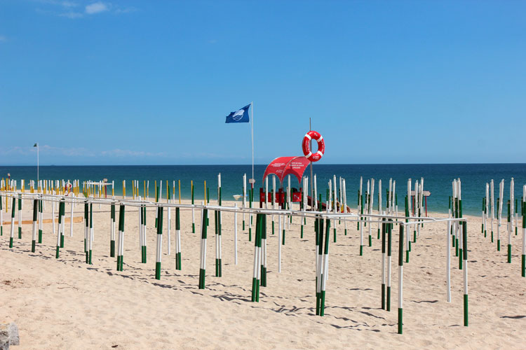 Praia da Califórnia