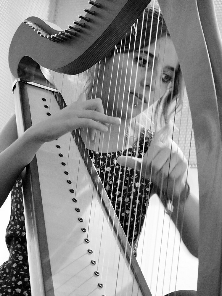 Rebeca Csalog - harpa