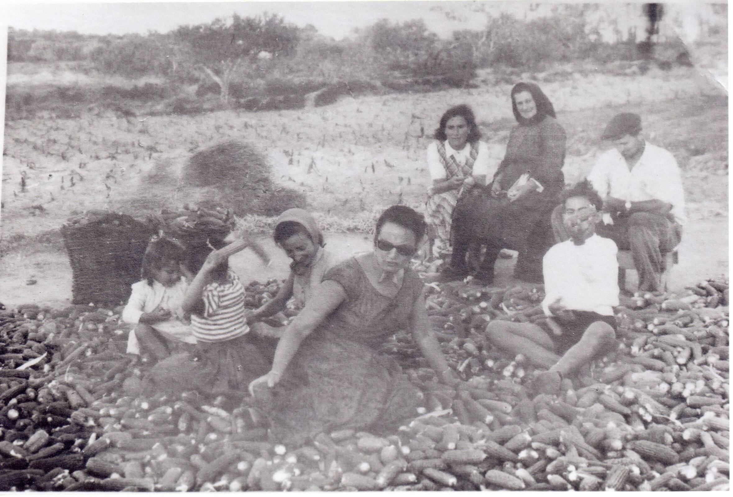 Arquivo Municipal de Sesimbra PT/CMS/CGPM/000036