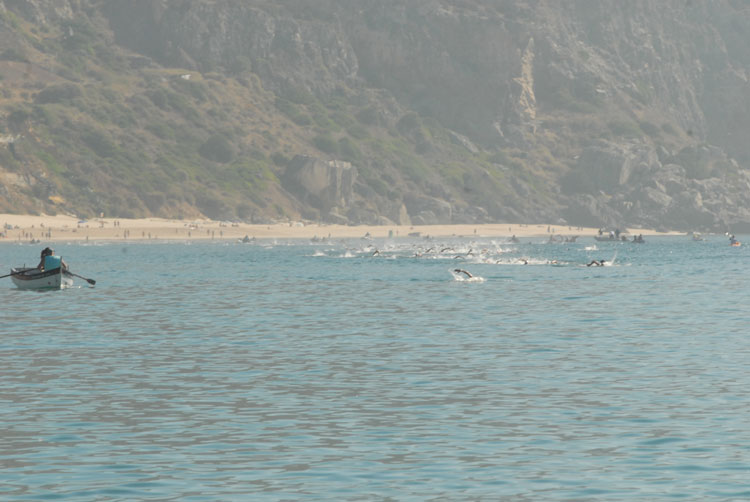 Travessia-da-Baia-2016-_225