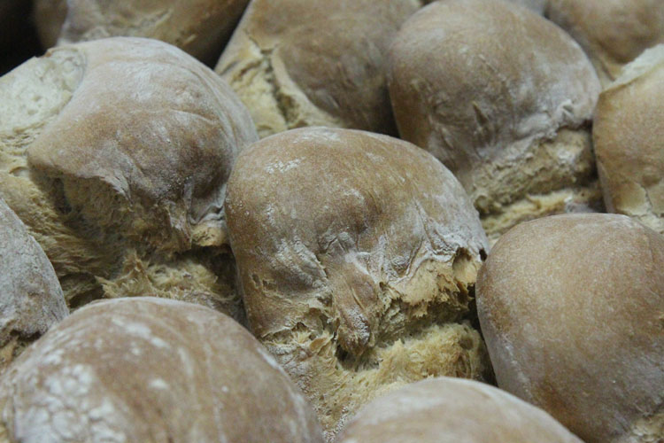 Degustação de Pão na Loja Espiga, Azoia