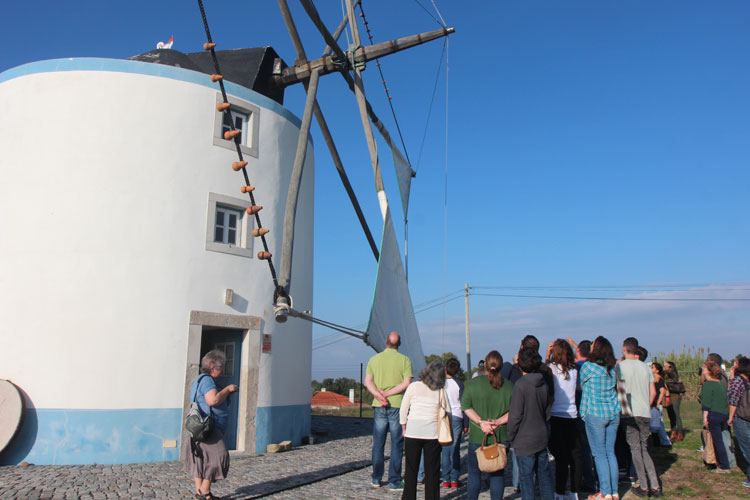 Visita ao Moinho do Outeiro e Ateliê de Fabrico de Pão Caseiro com Chouriço