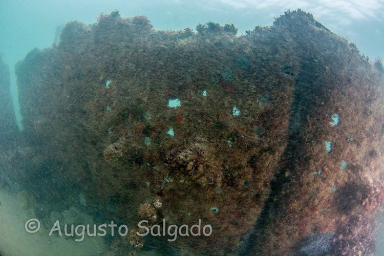 15443164_764600003692577_42