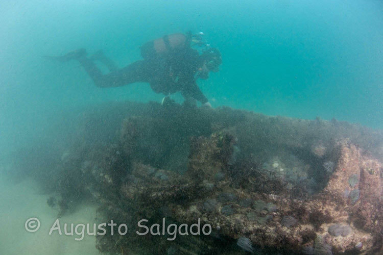 15540979_764599877025923_80