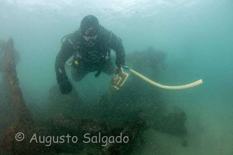 15578188_764599950359249_28