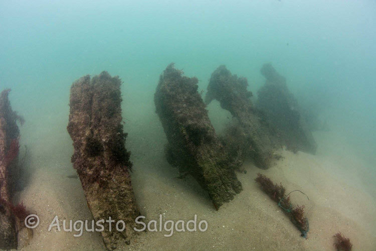 15591506_764599997025911_64