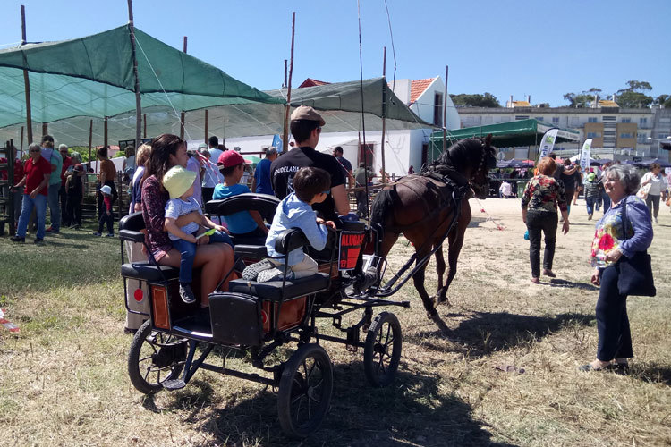 Quinta na Moagem 2017