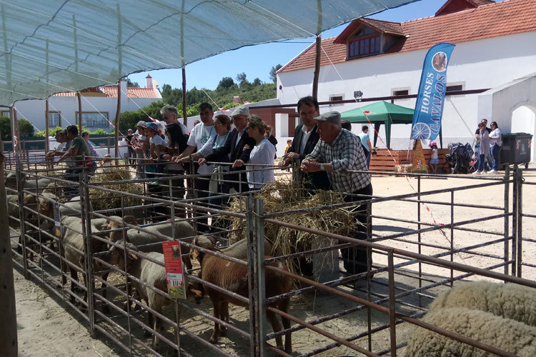 Quinta na Moagem 2017