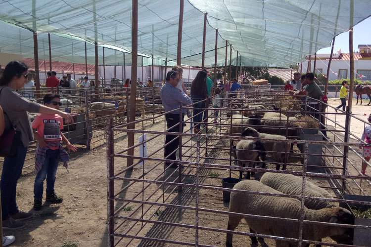 Quinta na Moagem 2017