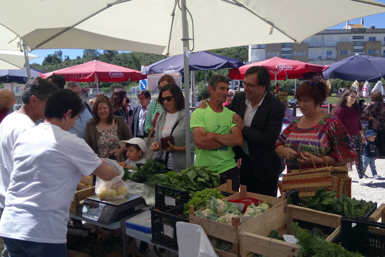 Quinta na Moagem 2017